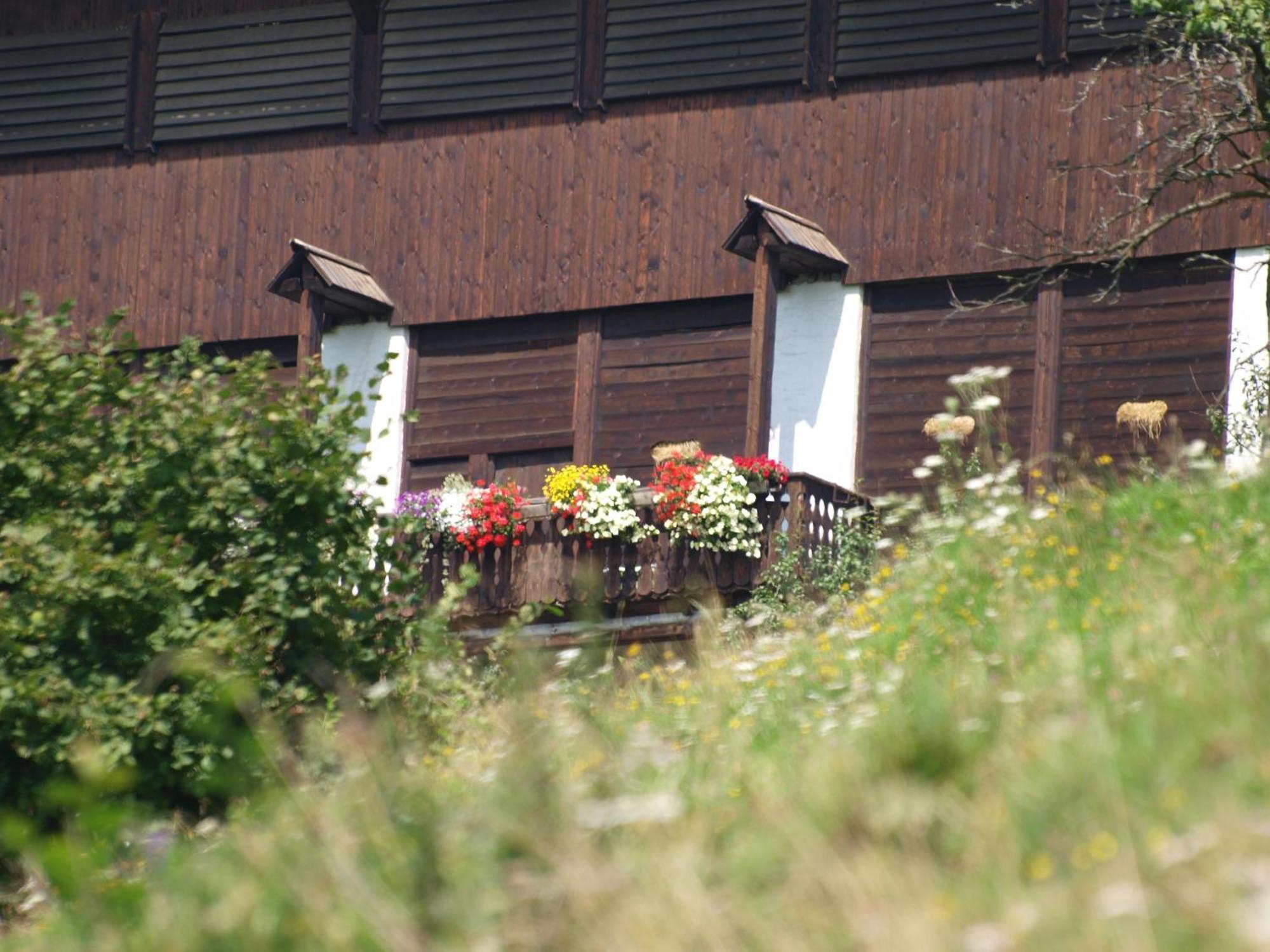 Hochfelner-Prutti - Stockerhof Villa Sankt Marein bei Knittelfeld Esterno foto