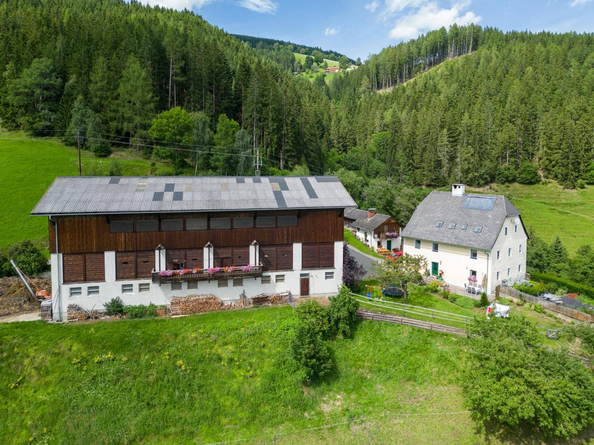 Hochfelner-Prutti - Stockerhof Villa Sankt Marein bei Knittelfeld Esterno foto